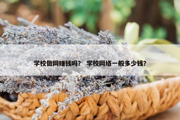 学校做网赚钱吗？ 学校网络一般多少钱？