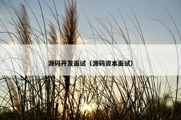 源码开发面试（源码资本面试）