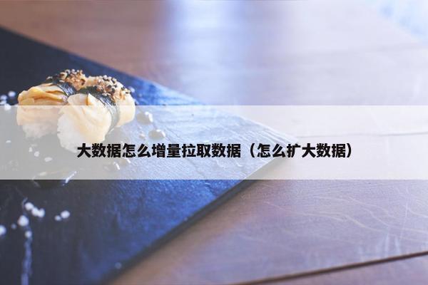 大数据怎么增量拉取数据（怎么扩大数据）