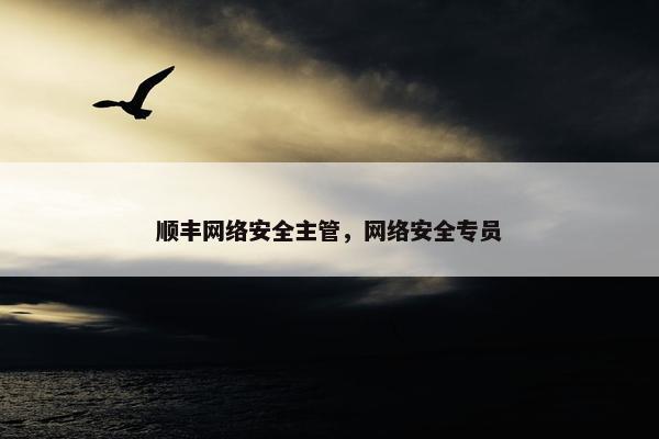 顺丰网络安全主管，网络安全专员