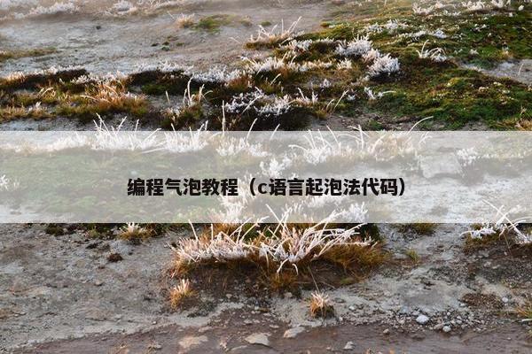 编程气泡教程（c语言起泡法代码）