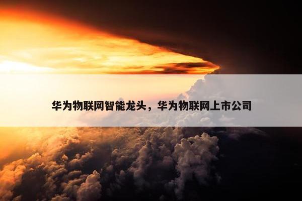 华为物联网智能龙头，华为物联网上市公司