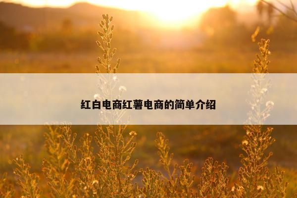 红白电商红薯电商的简单介绍