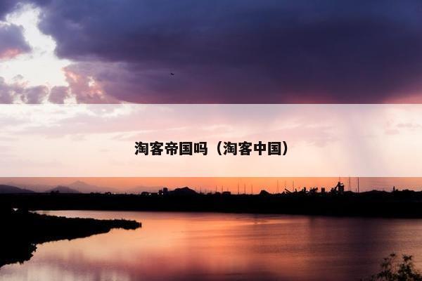 淘客帝国吗（淘客中国）
