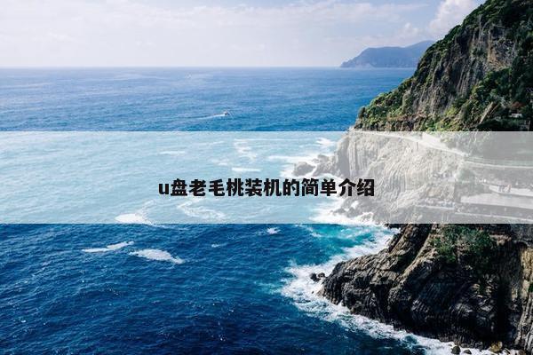 u盘老毛桃装机的简单介绍