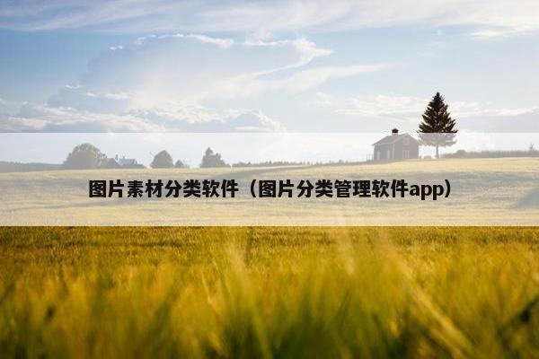 图片素材分类软件（图片分类管理软件app）