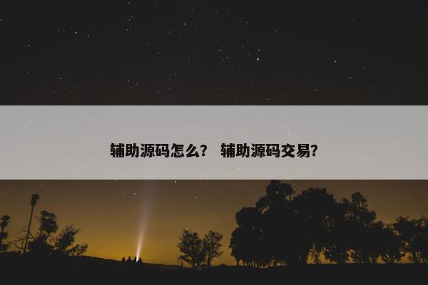 辅助源码怎么？ 辅助源码交易？