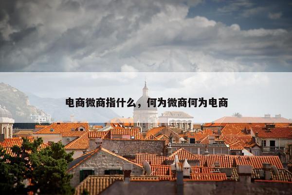电商微商指什么，何为微商何为电商