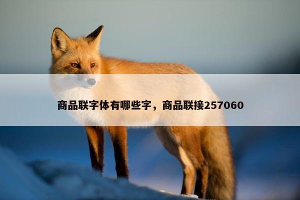 商品联字体有哪些字，商品联接257060