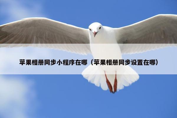 苹果相册同步小程序在哪（苹果相册同步设置在哪）