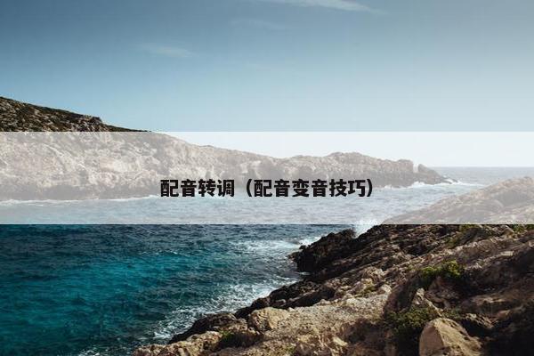 配音转调（配音变音技巧）