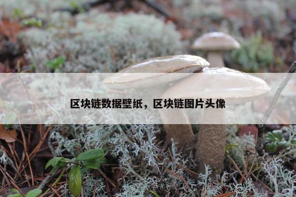 区块链数据壁纸，区块链图片头像