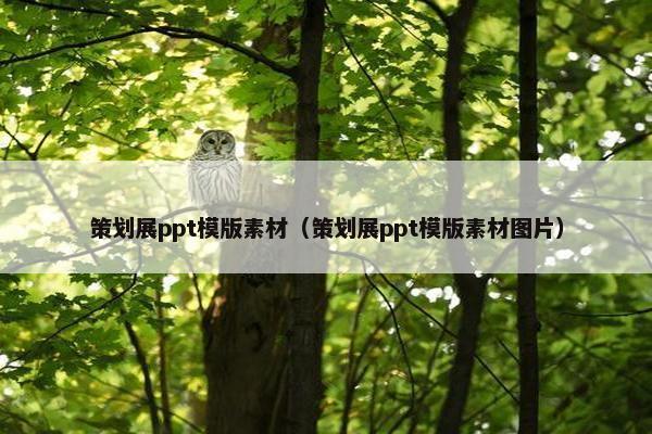 策划展ppt模版素材（策划展ppt模版素材图片）