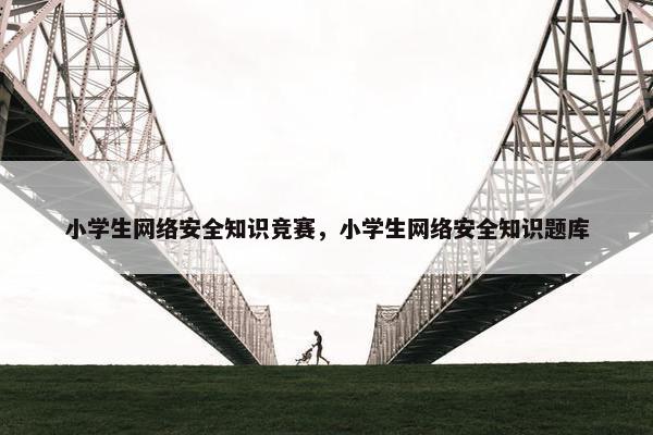 小学生网络安全知识竞赛，小学生网络安全知识题库