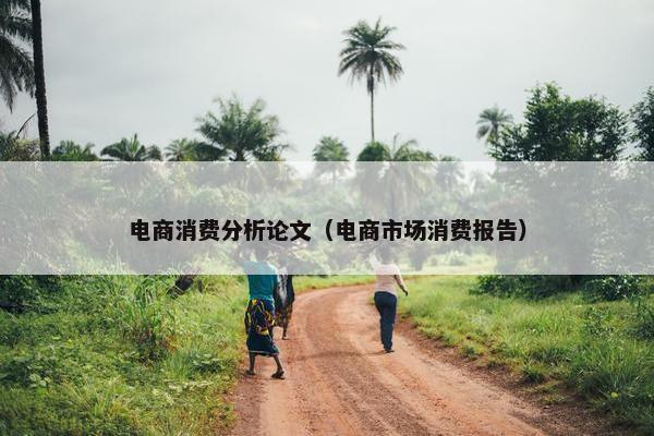 电商消费分析论文（电商市场消费报告）