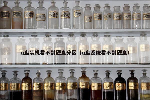 u盘装机看不到硬盘分区（u盘系统看不到硬盘）