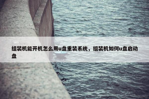 组装机能开机怎么用u盘重装系统，组装机如何u盘启动盘