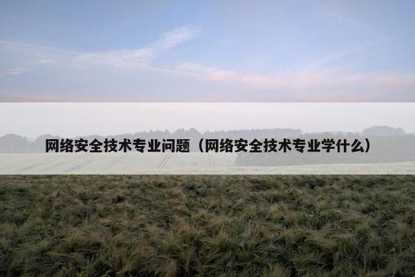网络安全技术专业问题（网络安全技术专业学什么）