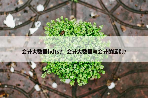 会计大数据hdfs？ 会计大数据与会计的区别？