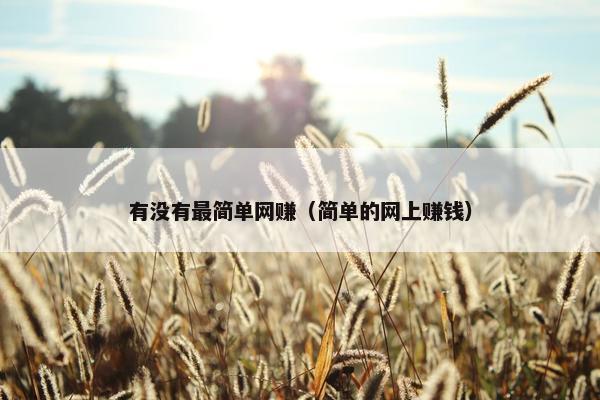 有没有最简单网赚（简单的网上赚钱）