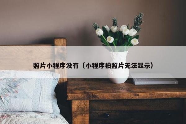 照片小程序没有（小程序拍照片无法显示）