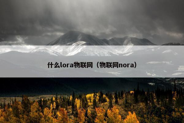 什么lora物联网（物联网nora）