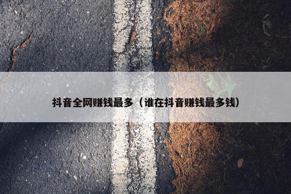 抖音全网赚钱最多（谁在抖音赚钱最多钱）