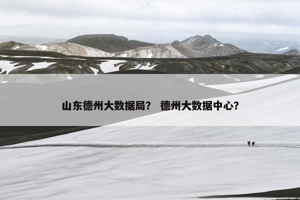 山东德州大数据局？ 德州大数据中心？