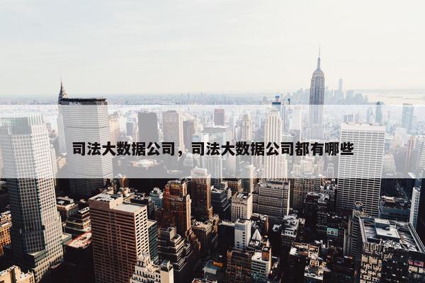 司法大数据公司，司法大数据公司都有哪些