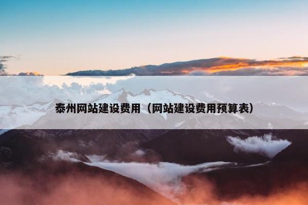 泰州网站建设费用（网站建设费用预算表）