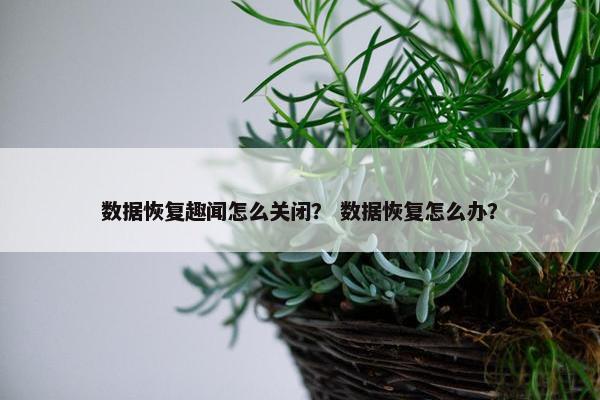 数据恢复趣闻怎么关闭？ 数据恢复怎么办？