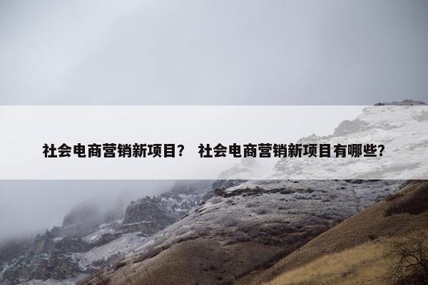 社会电商营销新项目？ 社会电商营销新项目有哪些？