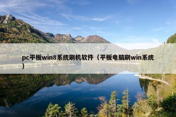 pc平板win8系统刷机软件（平板电脑刷win系统）