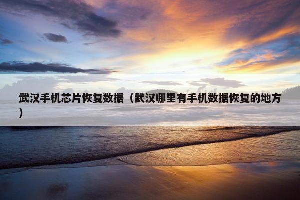 武汉手机芯片恢复数据（武汉哪里有手机数据恢复的地方）