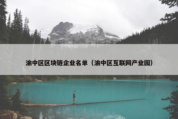 渝中区区块链企业名单（渝中区互联网产业园）