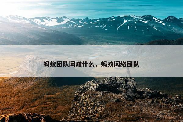 蚂蚁团队网赚什么，蚂蚁网络团队