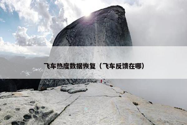 飞车热度数据恢复（飞车反馈在哪）
