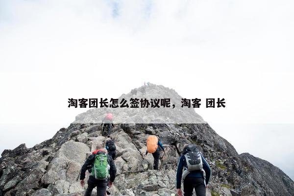 淘客团长怎么签协议呢，淘客 团长