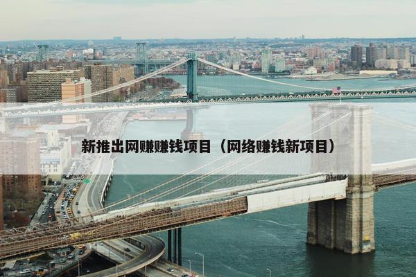 新推出网赚赚钱项目（网络赚钱新项目）