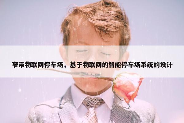窄带物联网停车场，基于物联网的智能停车场系统的设计