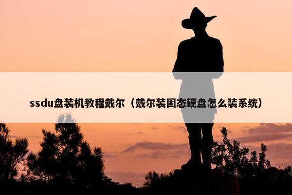 ssdu盘装机教程戴尔（戴尔装固态硬盘怎么装系统）