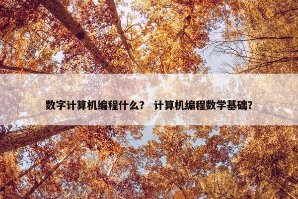 数字计算机编程什么？ 计算机编程数学基础？