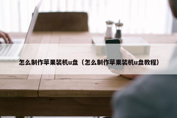 怎么制作苹果装机u盘（怎么制作苹果装机u盘教程）