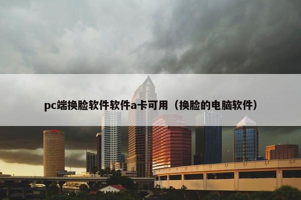 pc端换脸软件软件a卡可用（换脸的电脑软件）