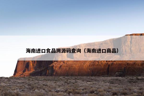 海南进口食品溯源码查询（海南进口商品）