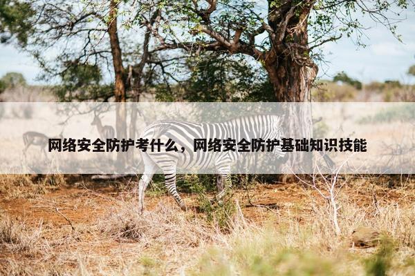 网络安全防护考什么，网络安全防护基础知识技能
