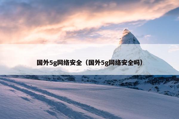 国外5g网络安全（国外5g网络安全吗）