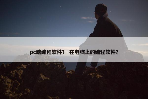 pc端编程软件？ 在电脑上的编程软件？