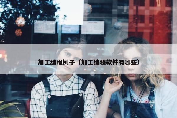 加工编程例子（加工编程软件有哪些）