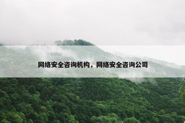 网络安全咨询机构，网络安全咨询公司